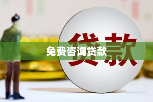 芦山免费咨询贷款